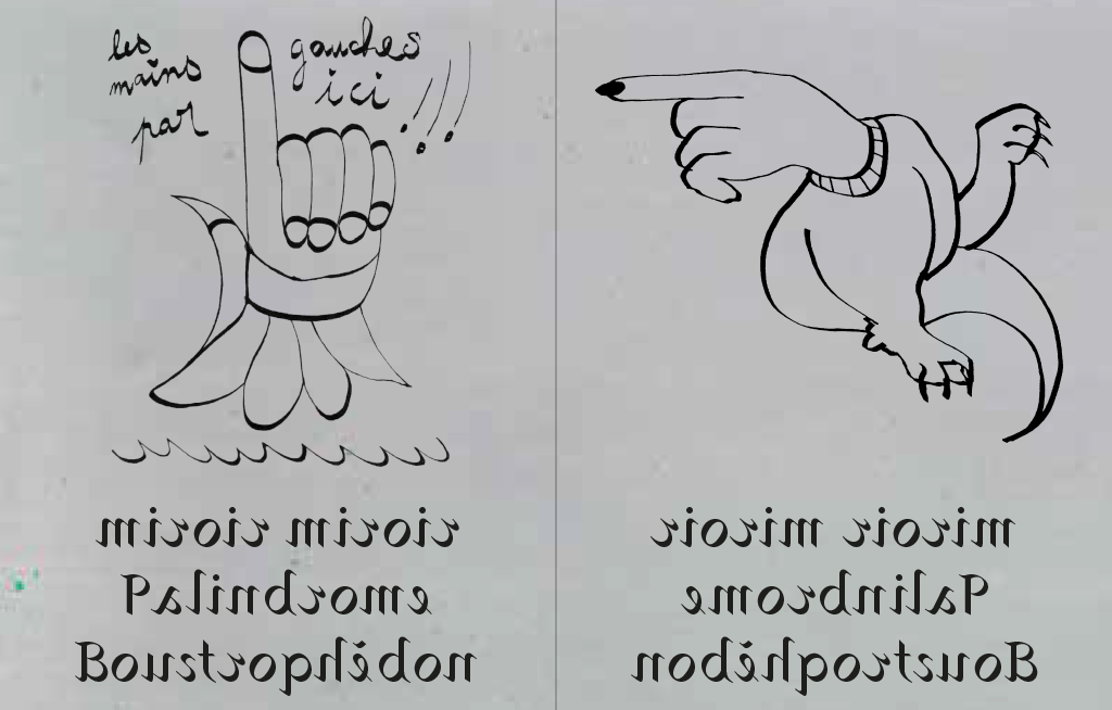 notion image